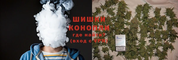 спиды Бронницы