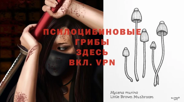 дурь Бугульма