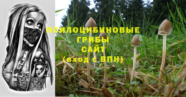 дурь Бугульма