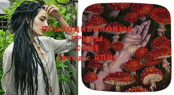кокаин Бородино