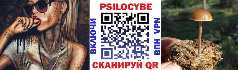 Псилоцибиновые грибы Psilocybe  купить наркотик  Вилючинск 